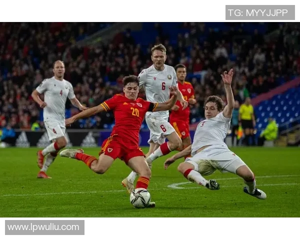 白俄罗斯足球队当红球星与球队未来发展前景分析