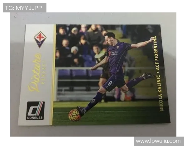 2015 Select足球帕尼尼球星卡珍藏版鉴赏与投资价值分析